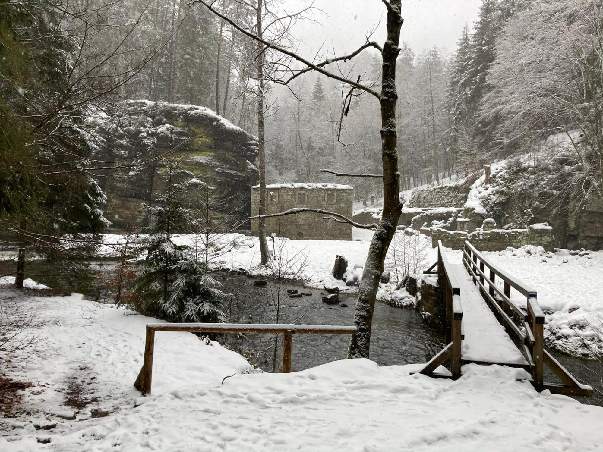 Pension Hofberg Jetřichovice Extérieur photo
