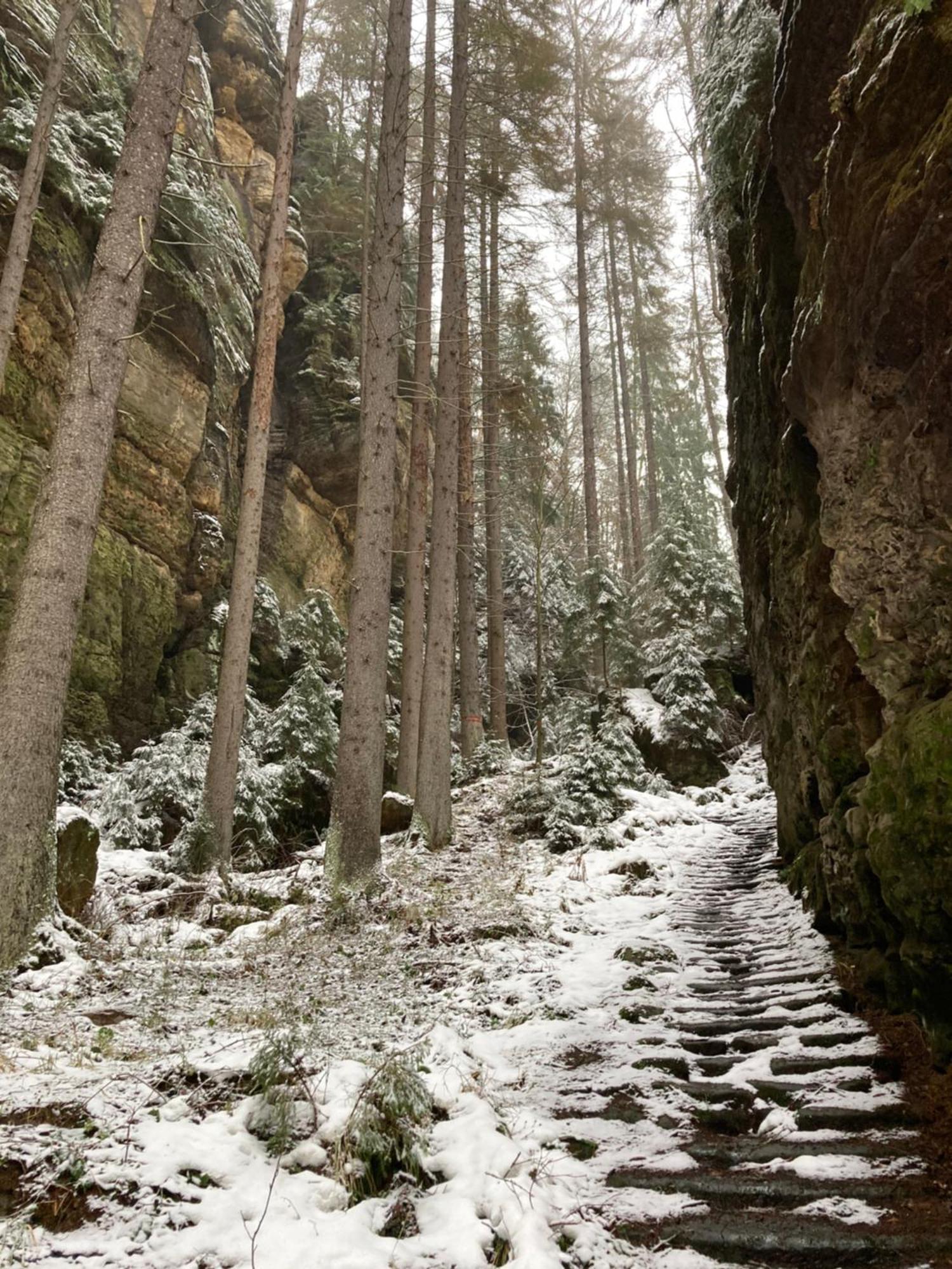 Pension Hofberg Jetřichovice Extérieur photo