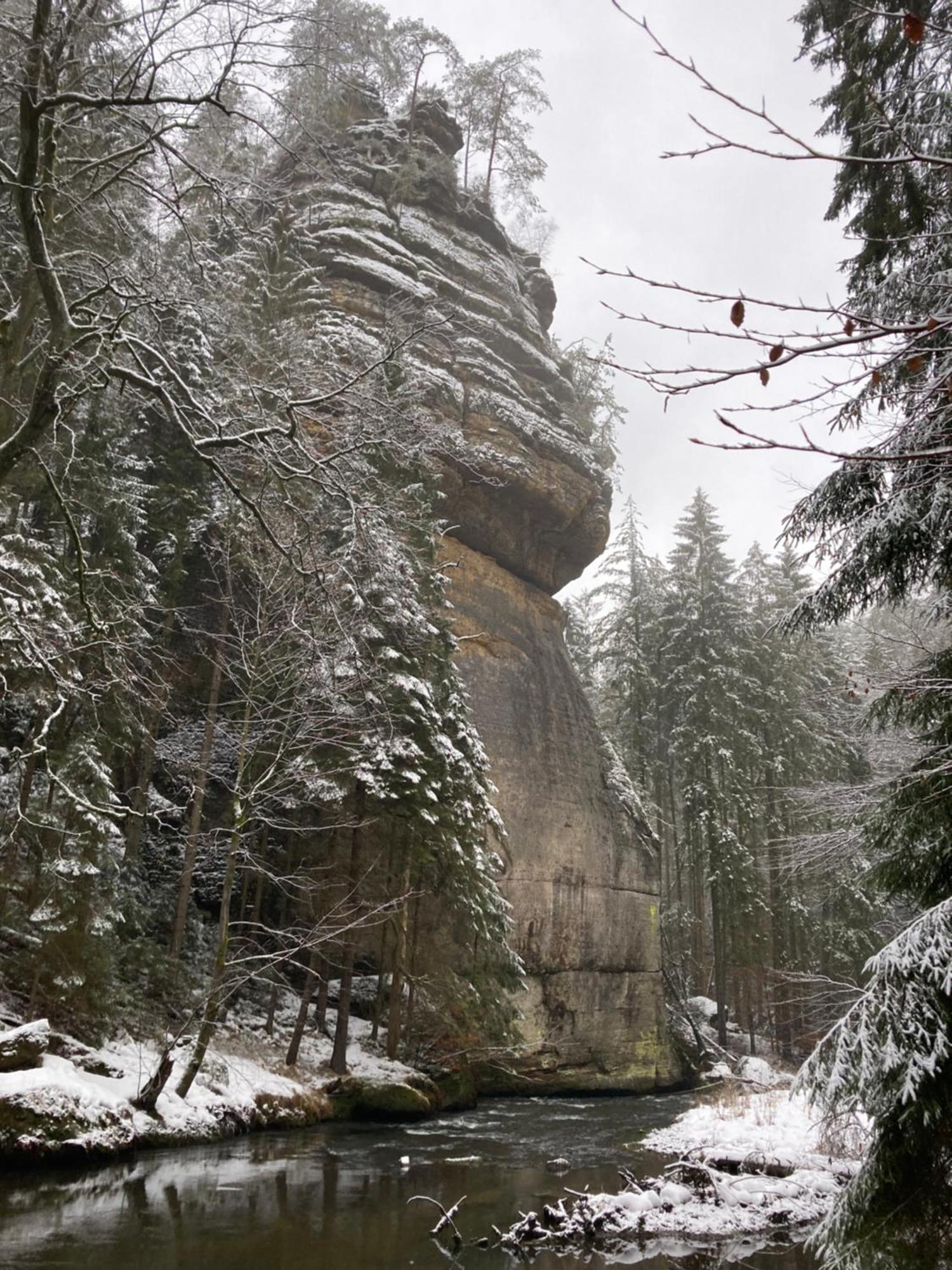 Pension Hofberg Jetřichovice Extérieur photo