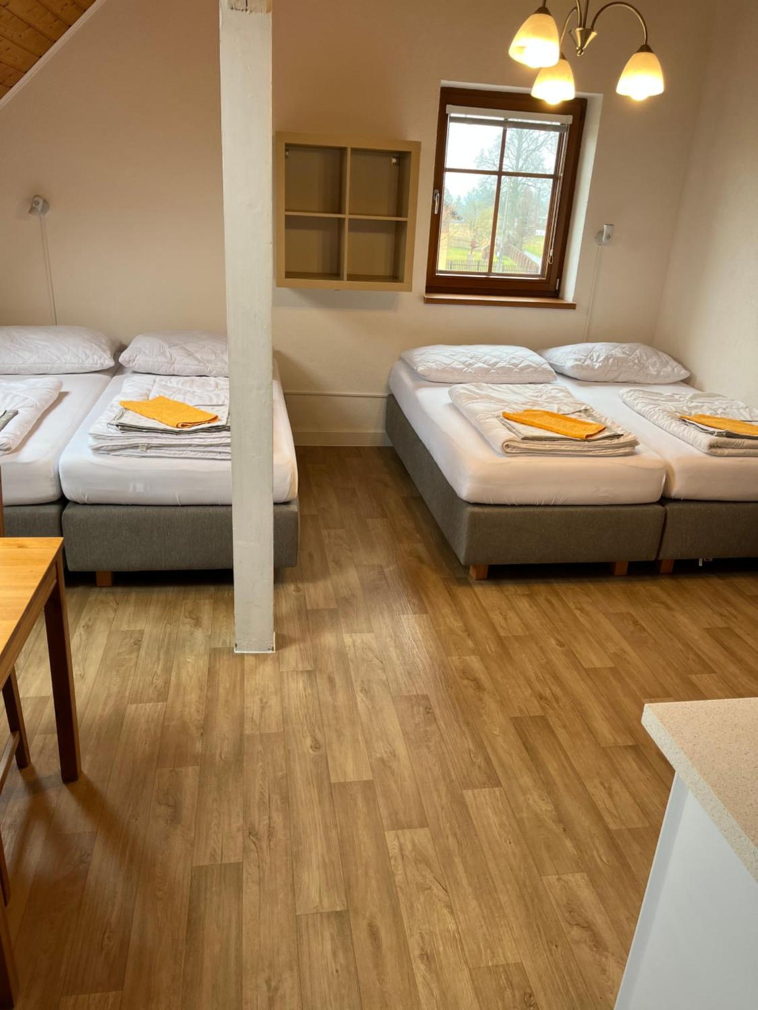 Pension Hofberg Jetřichovice Extérieur photo